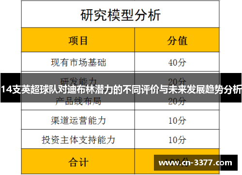 14支英超球队对迪布林潜力的不同评价与未来发展趋势分析