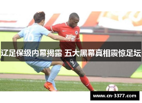 辽足保级内幕揭露 五大黑幕真相震惊足坛