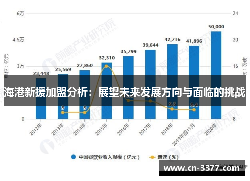 海港新援加盟分析：展望未来发展方向与面临的挑战