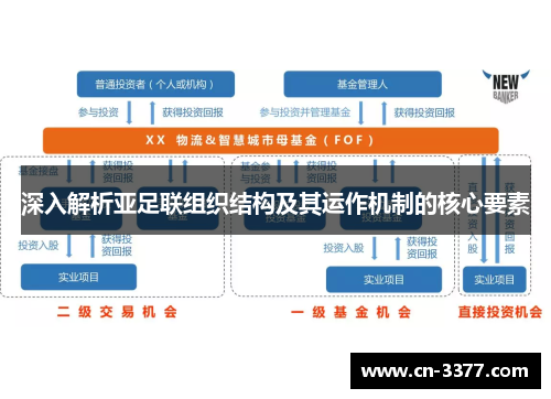 深入解析亚足联组织结构及其运作机制的核心要素