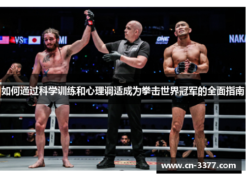 如何通过科学训练和心理调适成为拳击世界冠军的全面指南