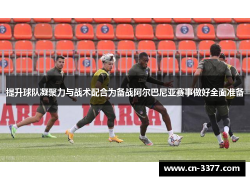 提升球队凝聚力与战术配合为备战阿尔巴尼亚赛事做好全面准备